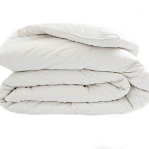 Down Duvet Insert