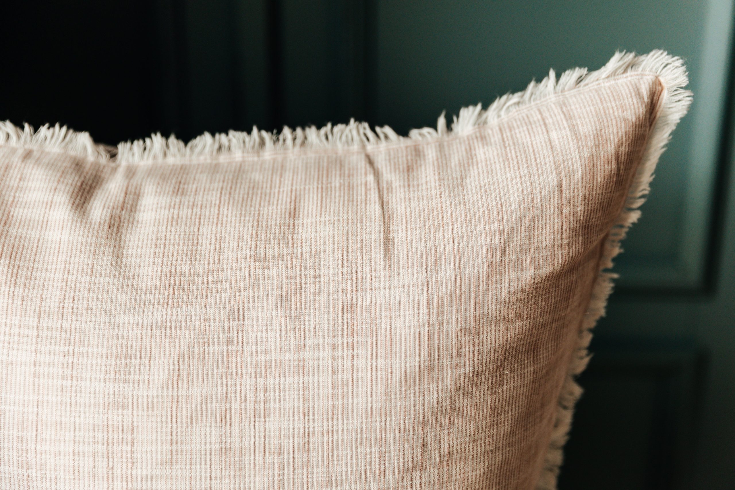 Eden Euro Pillow Cover - Image 3